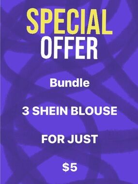 Special Offer Bundle - 3 Shein Blouse